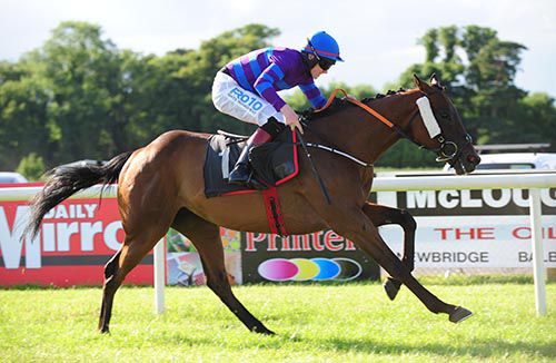 Mustradrik comes home an easy winner under Jack Kennedy