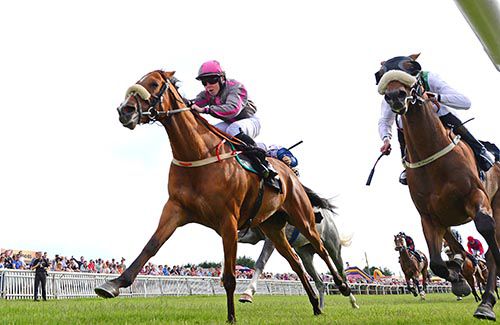 Maudlin Magdalen, left, beats Ruler Of France in Bellewstown