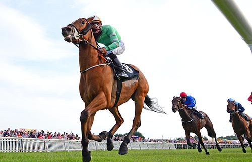 Easy Boy completes a double for Shane Foley