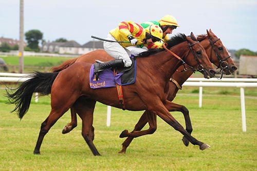 Hows Patsy, far side, edges out Don'tdropmein