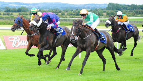 Versilia Gal (nearest) gets up to beat Sofi's Spirit (centre) & Six Of Hearts
