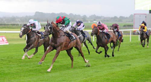 Panama Hat is driven out by Chris Hayes