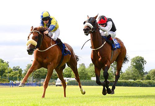 Rummaging (left) beats Katimavik