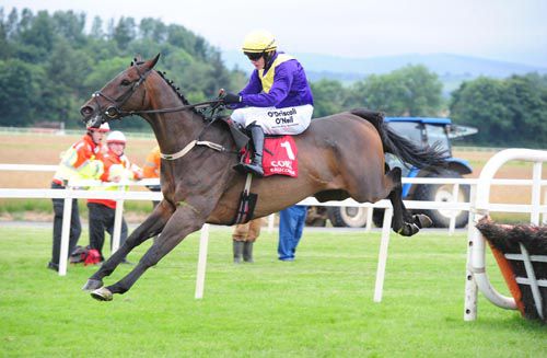 Alelchi Inois soars over the last in Cork