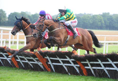 Just Call Me, near side, challenges Indian Rupee in Cork