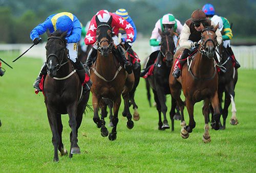 Swift Harry, left, dominates his rivals in Cork