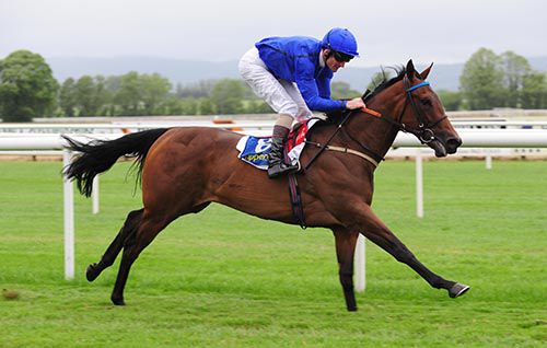 Mrs King in command at Tipperary