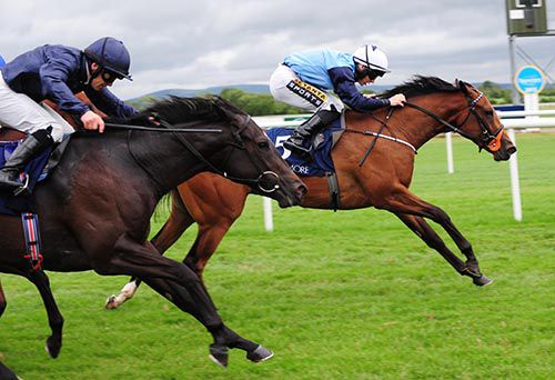 Promised Money has too much for Independence Day at Tipperary