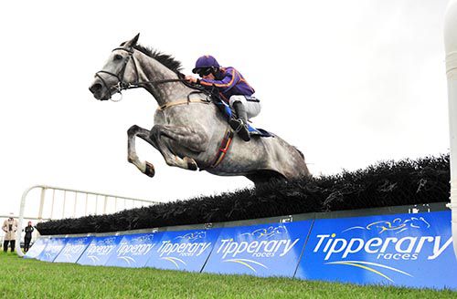 Diakali and Ruby Walsh on their way to victory in Tipperary