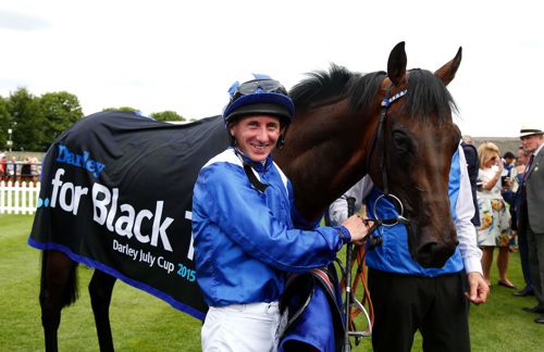 Muhaarar (seen at Newmarket)