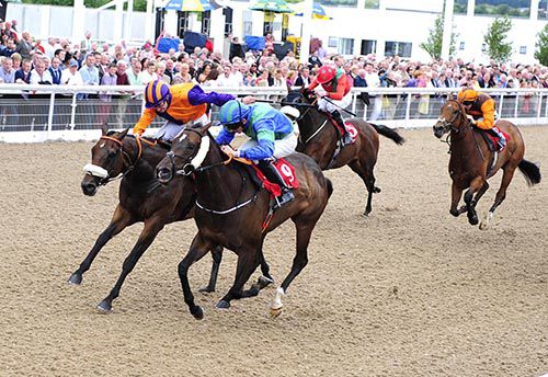 War Room (noseband) just gets up to beat Eloge