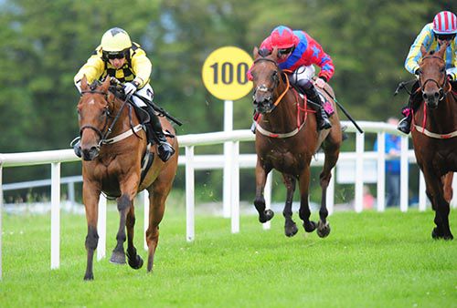 Fuji Mountain is driven out by Patrick Mullins