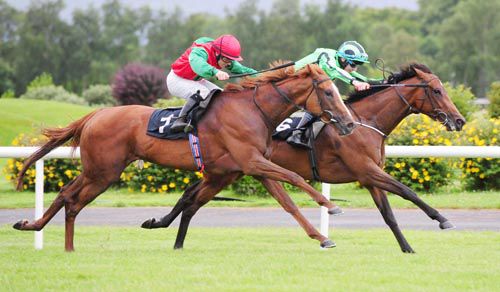 Off Limits (near side) is about to head Military Angel in the feature at Killarney