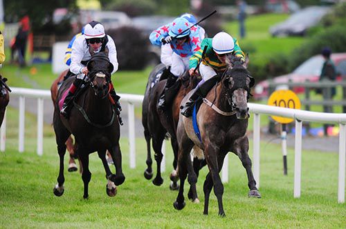 Bay Hill is driven out by Fran Berry