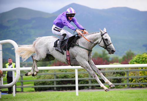 Erlkonig clears the last under Danny Mullins