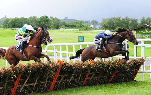 Gutsy Rocky jumps the last ahead of Draco
