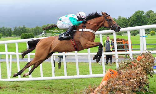 Buster Dan Dan takes off at the last under Jack Kennedy