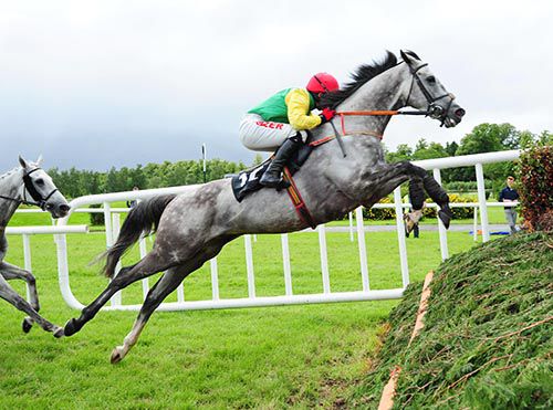 Viconte Du Noyer jumps stylishly under Jonathan Burke