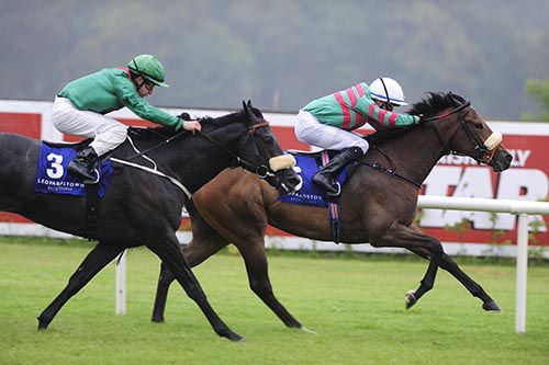 Miss Gossip is pushed out by Niall McCullagh to beat Hazamar