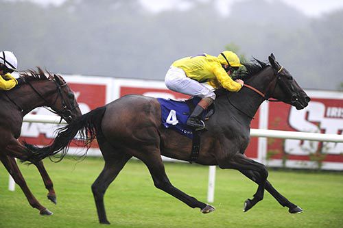 My Twinkle is pushed out by Gary Halpin