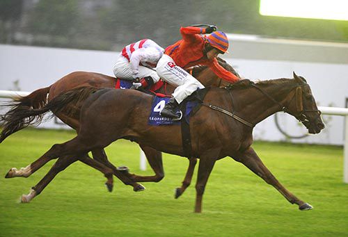 Korbous is driven out by Leigh Roche