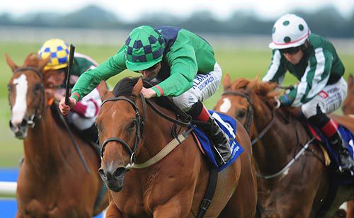 Have A Nice Day in front in the closing stages at the Curragh