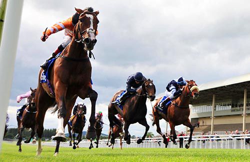 Covert Love, near side, approaches the winning post in the Curragh