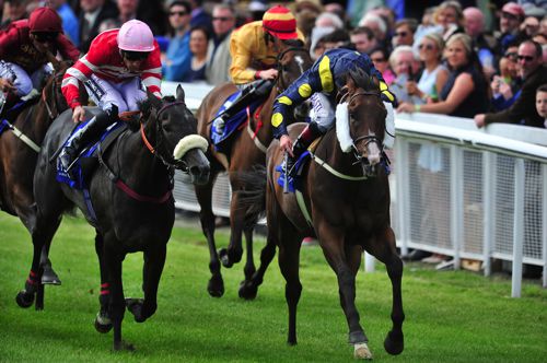 Stepper Point and Mecca's Angel at the Curragh