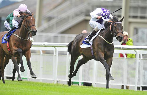 Leafy Shade heads for the winning post in the Curragh