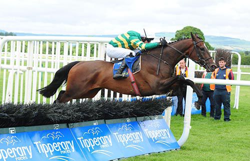 Minella Berry pops the last on his way to victory