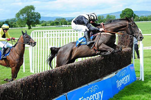 Tisamystery and Andrew Lynch jump the last