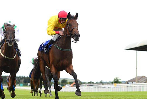 Diamond Rio takes the spoils in the Curragh