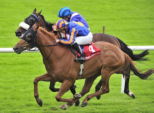 Swordfight and Wayne Lordan get the best of it with Aared and Chris Hayes