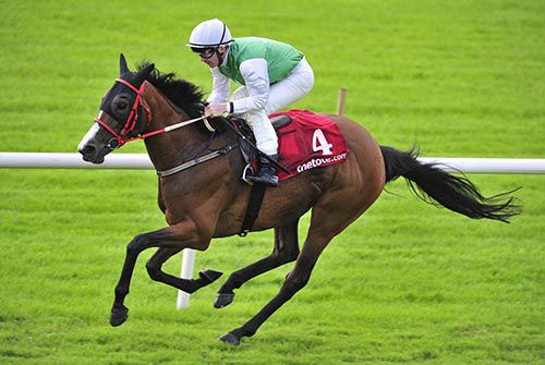 Jeremys Joy and Gary Carroll ease home