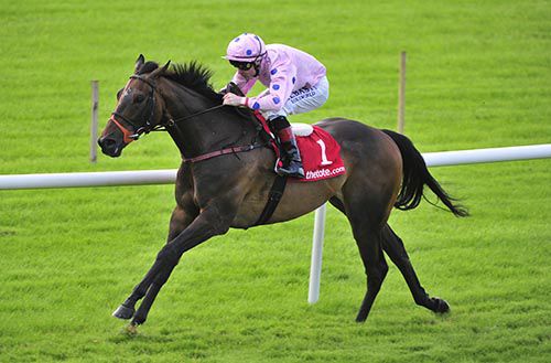 Lean And Keen and Pat Smullen