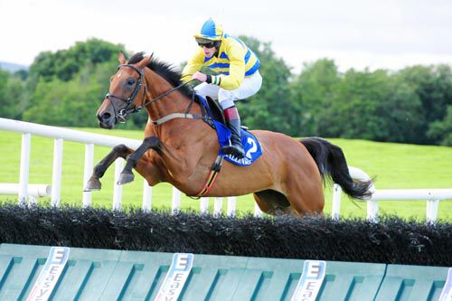 Supreme Vic and Adam O'Neill