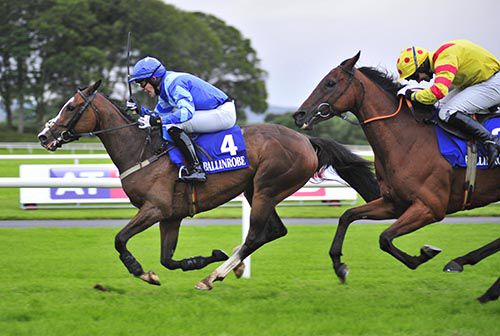 Brogine and Finny Maguire fend off Don'tdropmein and Richie Kiely