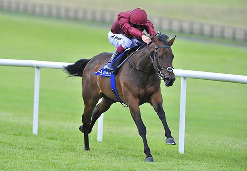 Bear Cheek and Andrea Atzeni race clear