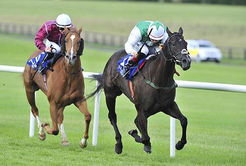 Burren View Lady and Leigh Roche