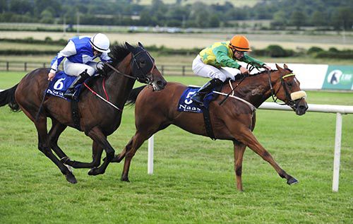 Kings Ryker and Shane Foley