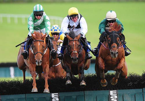 From left to right; What A Jewel, Duckweed and Thanks For Tea jump the last together