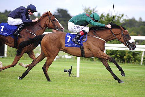 Tanaza is driven out by Pat Smullen to beat Alice Springs