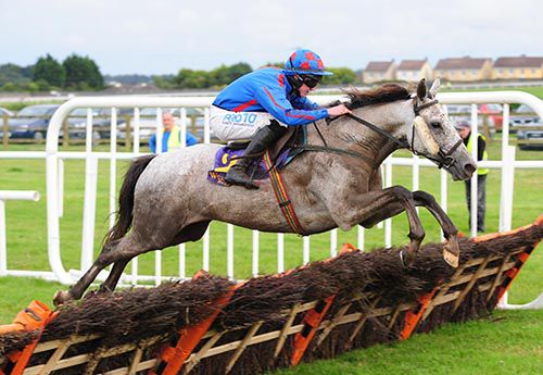 Slygufftou jumps a hurdle on his way to victory under Jack Kennedy