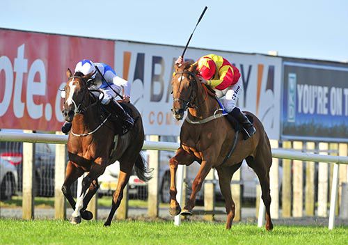Annagh Haven, right, beats Oceania Queen in Down Royal