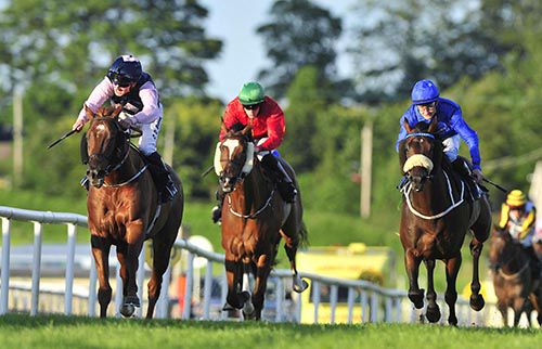 Park Rebel and Chris Hayes (left)
