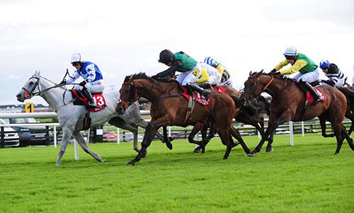 Modem (green & black) comes to claim Wood Breizh with Ted Veale (green & yellow) challenging