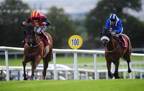 Romiac wins well under Leigh Roche