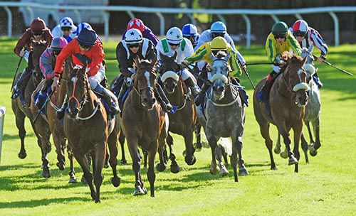 Hint Of A Tint, black with white cap, comes to challenge Baraweez