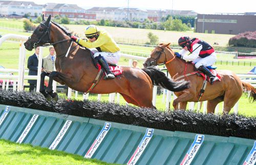 Lilly The Lioness, yellow