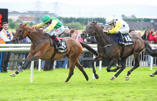 Bog War and Leigh Roche hold on from Swamp Fox and Wayne Lordan